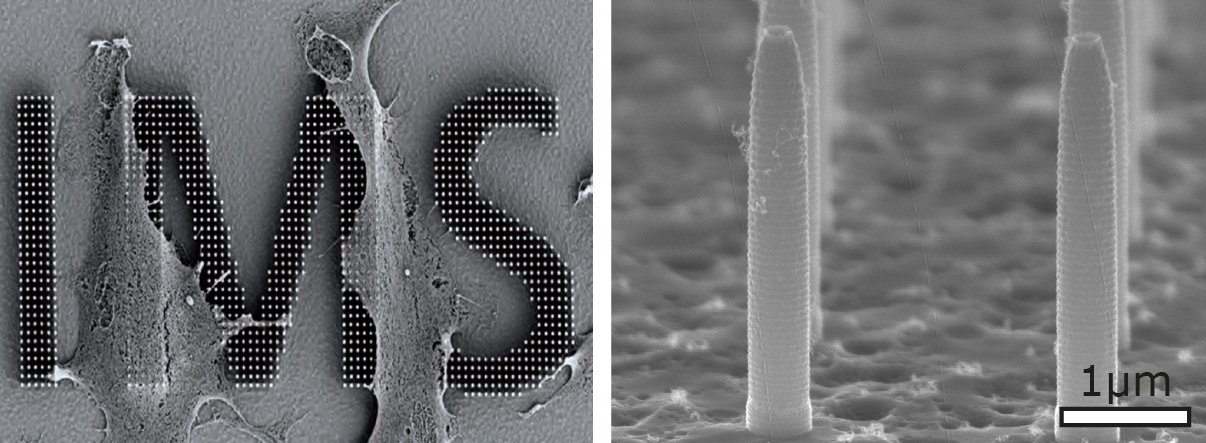 Bild eines ALD-basierten BioMEMS mit einem Array von Nanopipetten 