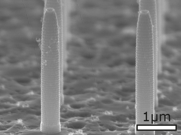 Bild eines ALD-basierten BioMEMS mit einem Array von Nanopipetten 