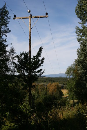 Ein Foto des kugelförmigen Sensormoduls montiert an einer Freileitung vor Natur-Hintergrund