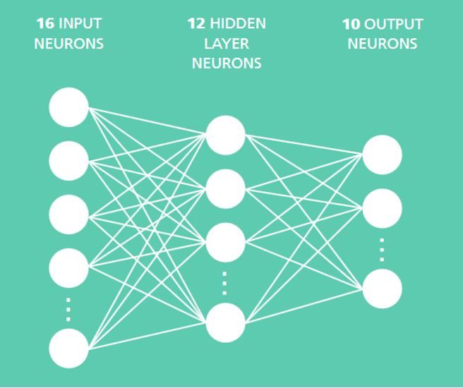 Abbildung eines neuronalen Netzes