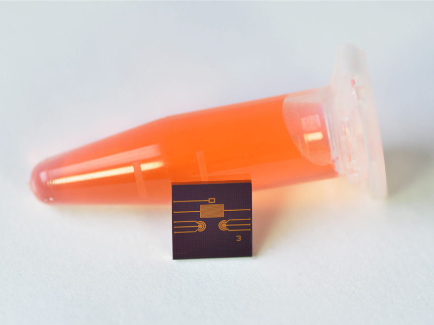 Multisensor-Chip zur Messung von Glukose, Laktat, Zelldichte und pH