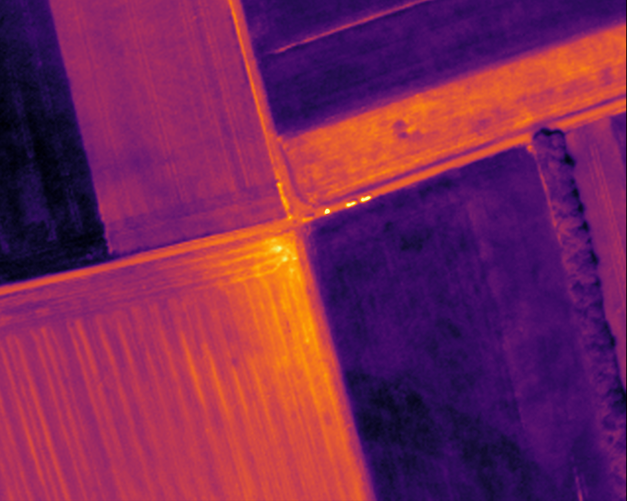 Infrarotbild zeigt aneinander angrenzende Felder in Draufsicht mit unterschiedlicher Hitzeentwicklung