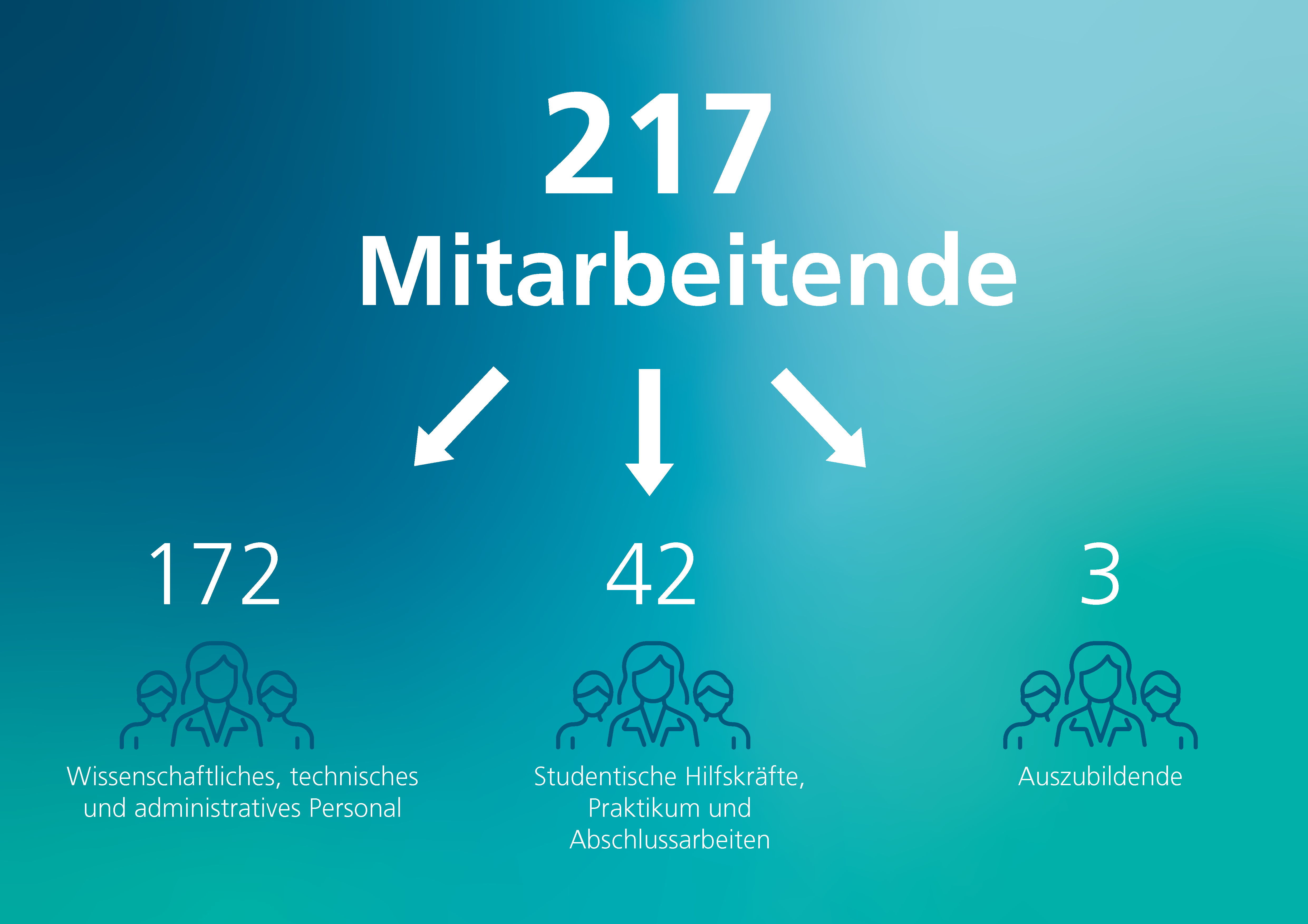 Die Anzahl der Mitarbeiter des Fraunhofer IMS im Jahr 2024