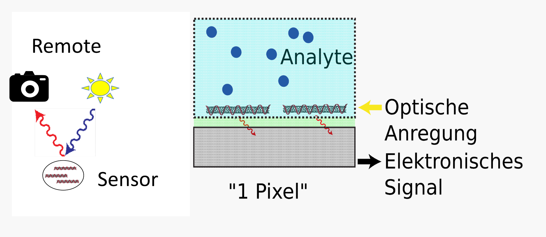 Konzepte der Nano-Biosensoren sind optische remote Detektion und kompakte Integration hochsensitiver, biofunktionalisierter Nanomaterialien on-Chip. 