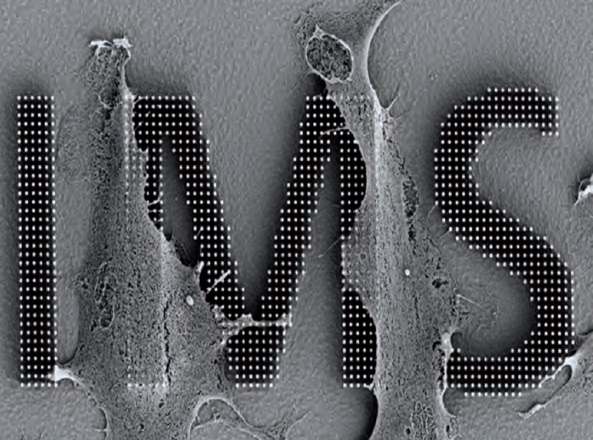Image of ALD-based BioMEMS showing an array of nanopipettes 