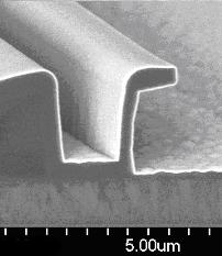3D structure with extremely conformal ALD encapsulation (white border)