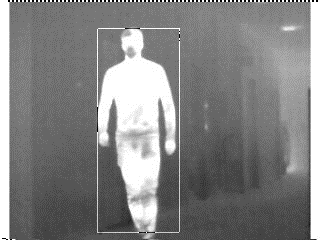 A detected person in a thermal image