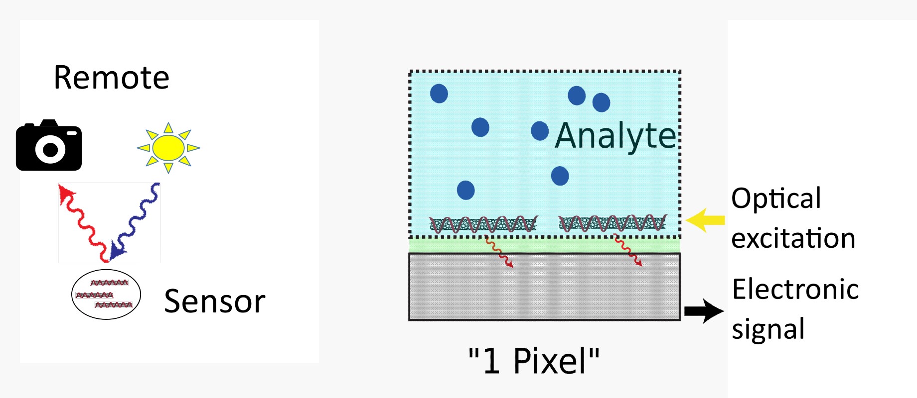 Concepts of nano-biosensors are optical remote detection and compact integration of highly sensitive biofunctionalized nanomaterials on-chip