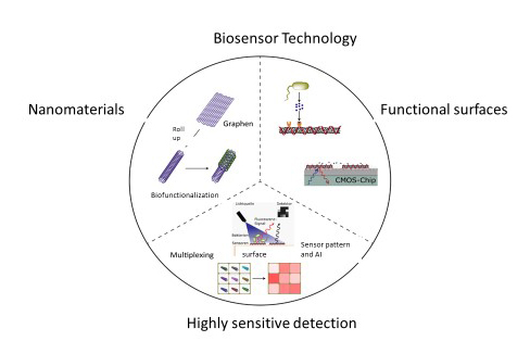 Functional principle of biofunctional sensors