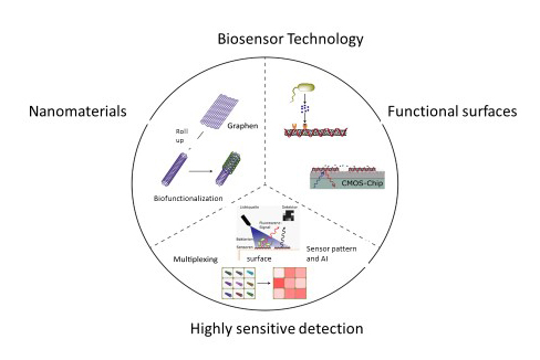 Methods of biofunctional sensors at the Fraunhofer IMS Functional principle of biofunctional sensors