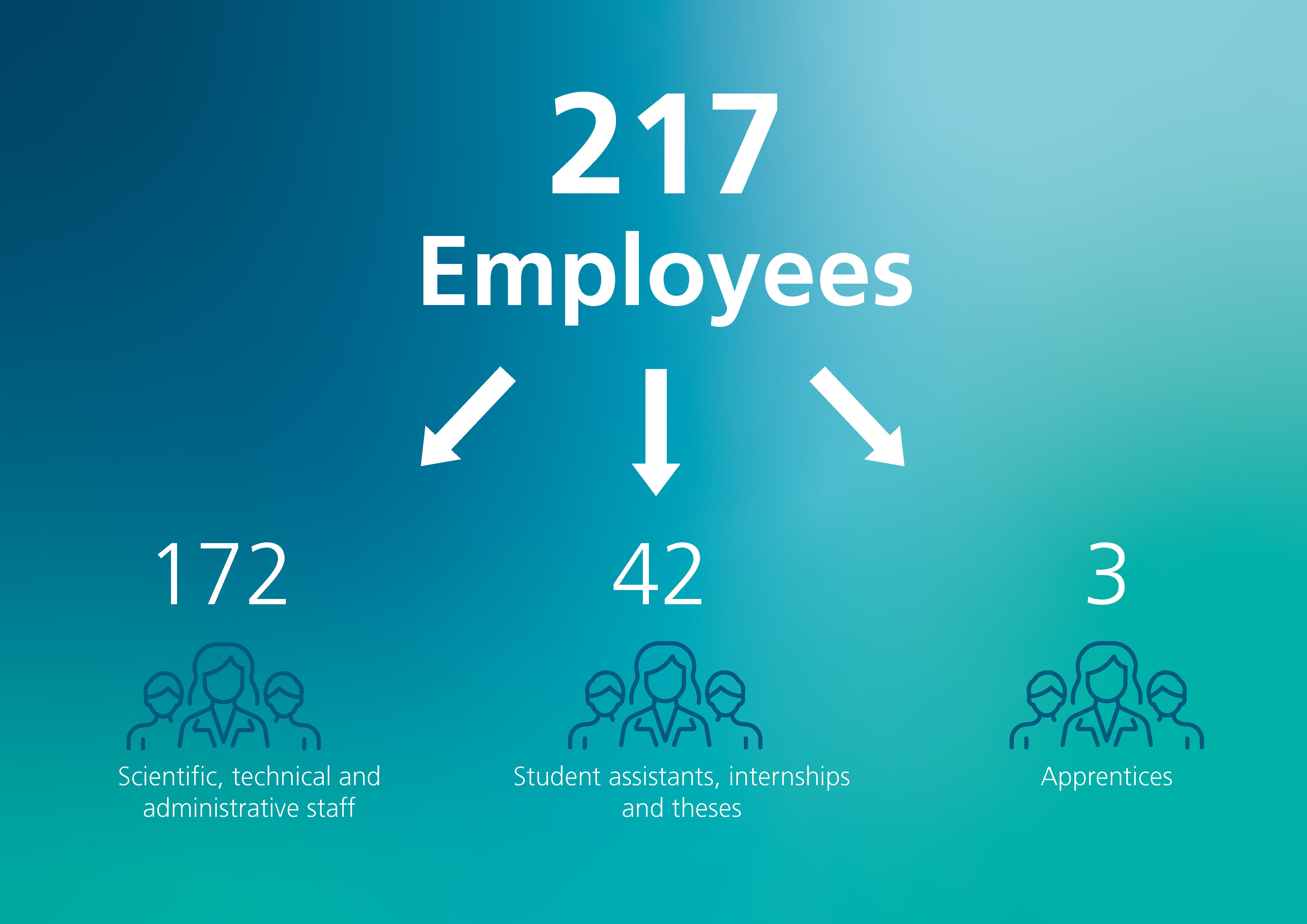 The number of employees at Fraunhofer IMS in 2024
